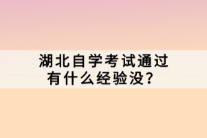 湖北自學(xué)考試通過(guò)有什么經(jīng)驗(yàn)沒(méi)？