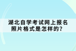 湖北自學(xué)考試網(wǎng)上報(bào)名照片格式是怎樣的？
