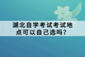 湖北自學(xué)考試考試地點可以自己選嗎？