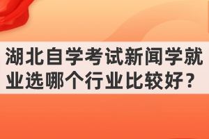 湖北自學考試新聞學就業(yè)選哪個行業(yè)比較好？