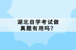 湖北自學(xué)考試做真題有用嗎？