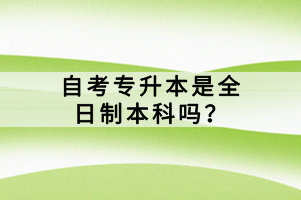 自考專升本是全日制本科嗎？