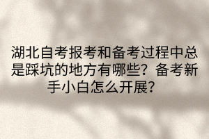 湖北自考報考和備考過程中總是踩坑的地方有哪些？備考新手小白怎么開展？