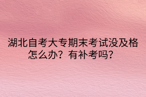 湖北自考大專(zhuān)期末考試沒(méi)及格怎么辦？有補(bǔ)考嗎？
