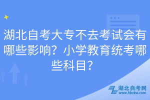湖北自考大專不去考試會有哪些影響？小學(xué)教育統(tǒng)考哪些科目？