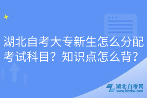 湖北自考大專(zhuān)新生怎么分配考試科目？知識(shí)點(diǎn)怎么背？