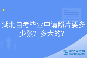 湖北自考畢業(yè)申請照片要多少張？多大的？