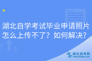 湖北自學(xué)考試畢業(yè)申請(qǐng)照片怎么上傳不了？如何解決？