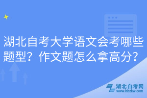 湖北自考大學(xué)語(yǔ)文會(huì)考哪些題型？作文題怎么拿高分？