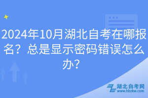 2024年10月湖北自考在哪報名？總是顯示密碼錯誤怎么辦？