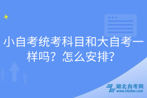 小自考統(tǒng)考科目和大自考一樣嗎？怎么安排？