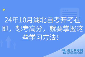 24年10月湖北自考開考在即，想考高分，就要掌握這些學(xué)習(xí)方法！