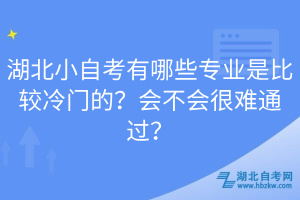 湖北小自考有哪些專業(yè)是比較冷門的？會不會很難通過？