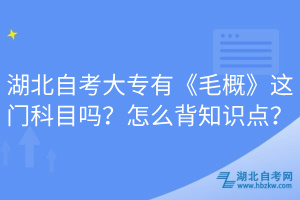 湖北自考大專有《毛概》這門科目嗎？怎么背知識(shí)點(diǎn)？