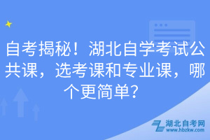 自考揭秘！湖北自學(xué)考試公共課，選考課和專業(yè)課，哪個(gè)更簡(jiǎn)單？