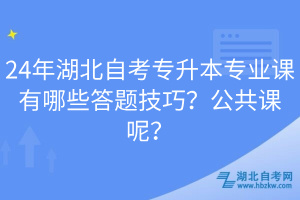 24年湖北自考專升本專業(yè)課有哪些答題技巧？公共課呢？
