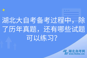 湖北大自考備考過程中，除了歷年真題，還有哪些試題可以練習？