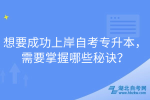 想要成功上岸自考專升本，需要掌握哪些秘訣？