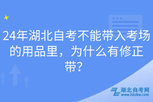 24年湖北自考不能帶入考場的用品里，為什么有修正帶？