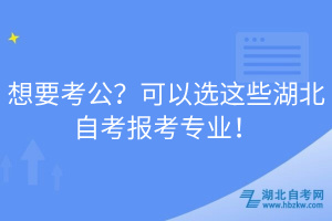 想要考公？可以選這些湖北自考報(bào)考專業(yè)！
