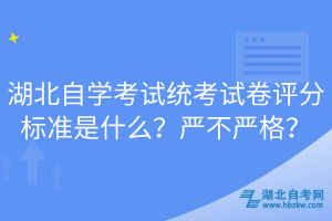 湖北自學(xué)考試統(tǒng)考試卷評(píng)分標(biāo)準(zhǔn)是什么？嚴(yán)不嚴(yán)格？