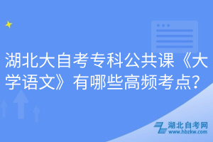 湖北大自考?？乒舱n《大學(xué)語文》有哪些高頻考點(diǎn)？