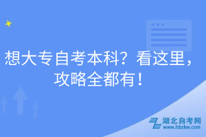 想大專自考本科？看這里，攻略全都有！