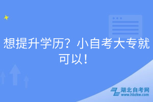 想提升學(xué)歷？小自考大專(zhuān)就可以！