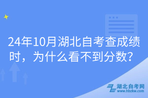 24年10月湖北自考查成績(jī)時(shí)，為什么看不到分?jǐn)?shù)？