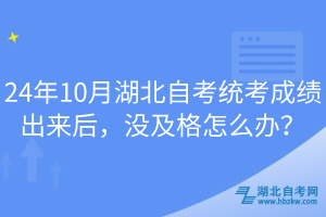 24年10月湖北自考統(tǒng)考成績(jī)出來(lái)后，沒(méi)及格怎么辦？
