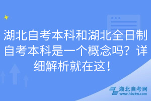 湖北自考本科和湖北全日制自考本科是一個(gè)概念嗎？詳細(xì)解析就在這！