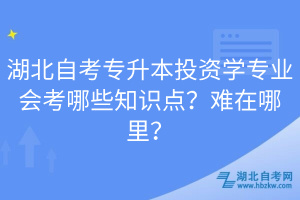 湖北自考專升本投資學(xué)專業(yè)會考哪些知識點(diǎn)？難在哪里？
