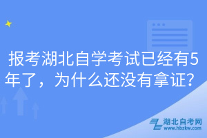 報(bào)考湖北自學(xué)考試已經(jīng)有5年了，為什么還沒有拿證？