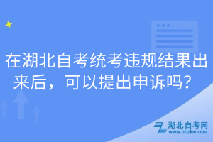 在湖北自考統(tǒng)考違規(guī)結(jié)果出來(lái)后，可以提出申訴嗎？
