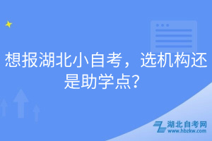 想報(bào)湖北小自考，選機(jī)構(gòu)還是助學(xué)點(diǎn)？