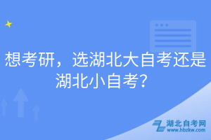 想考研，選湖北大自考還是湖北小自考？