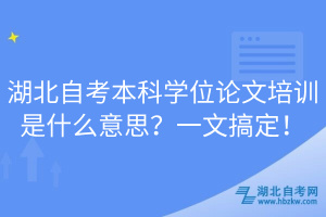 湖北自考本科學位論文培訓是什么意思？一文搞定！