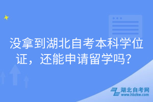 沒拿到湖北自考本科學(xué)位證，還能申請留學(xué)嗎？