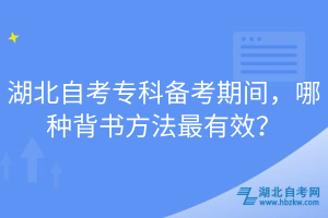 湖北自考?？苽淇计陂g，哪種背書方法最有效？