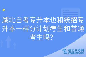湖北自考專升本也和統(tǒng)招專升本一樣分計劃考生和普通考生嗎？