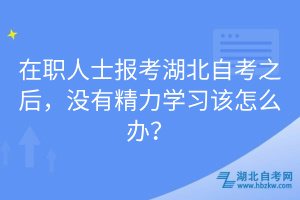 在職人士報(bào)考湖北自考之后，沒(méi)有精力學(xué)習(xí)該怎么辦？
