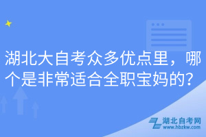 湖北大自考眾多優(yōu)點里，哪個是非常適合全職寶媽的？