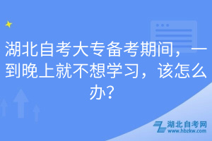 湖北自考大專備考期間，一到晚上就不想學(xué)習(xí)，該怎么辦？