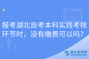 報(bào)考湖北自考本科實(shí)踐考核環(huán)節(jié)時(shí)，沒(méi)有繳費(fèi)可以嗎？