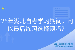 25年湖北自考學(xué)習(xí)期間，可以最后練習(xí)選擇題嗎？