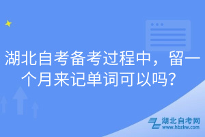 湖北自考備考過程中，留一個月來記單詞可以嗎？