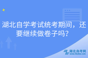 湖北自學(xué)考試統(tǒng)考期間，還要繼續(xù)做卷子嗎？