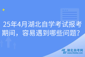 25年4月湖北自學(xué)考試報(bào)考期間，容易遇到哪些問題？