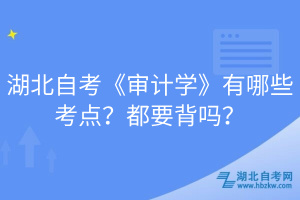 湖北自考《審計學(xué)》有哪些考點？都要背嗎？