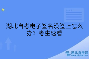 湖北自考電子簽名沒(méi)簽上怎么辦？考生速看